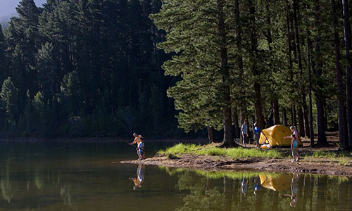 Image for Camp/Fishing
